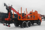 КАМАЗ 65115 с ГМУ Palfinger EPSILON M100L97
